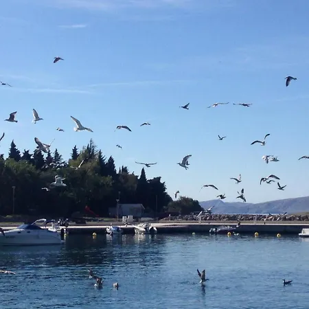 Bellevue 아파트 *